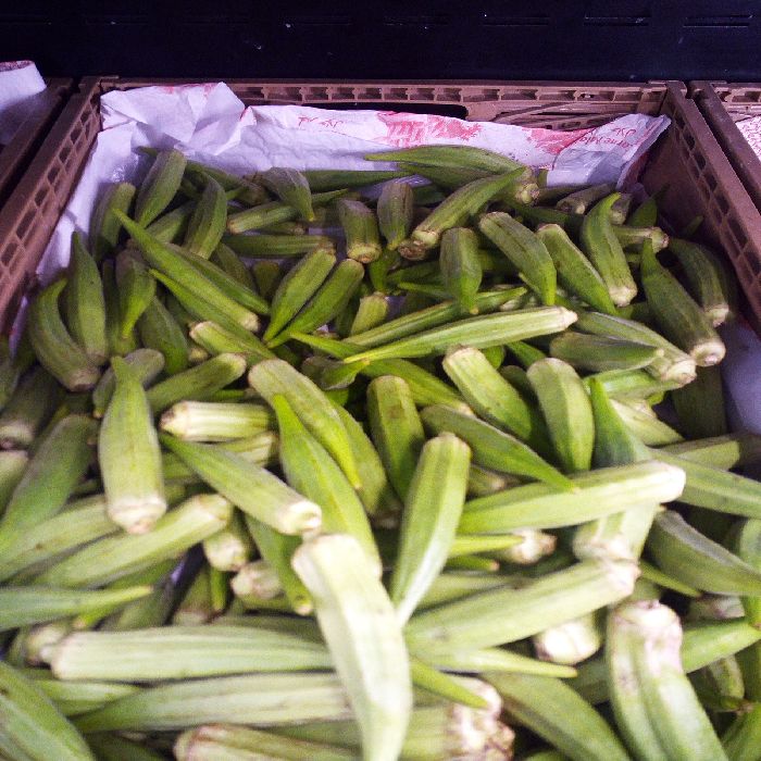 OKRA AL KG