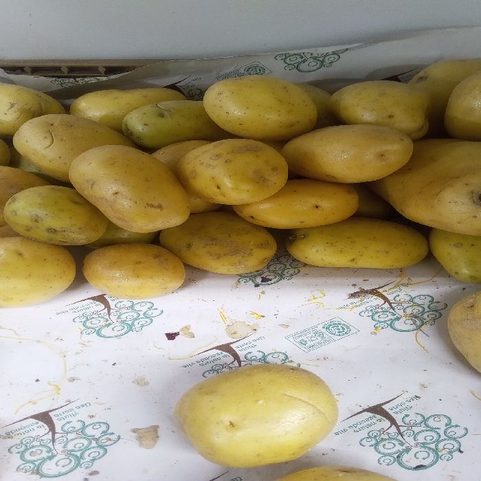 PATATE LAVATE AL 5 KG